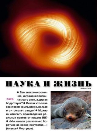 Обложка к /uploads/posts/2025-02/thumbs/1739432030_04.jpg